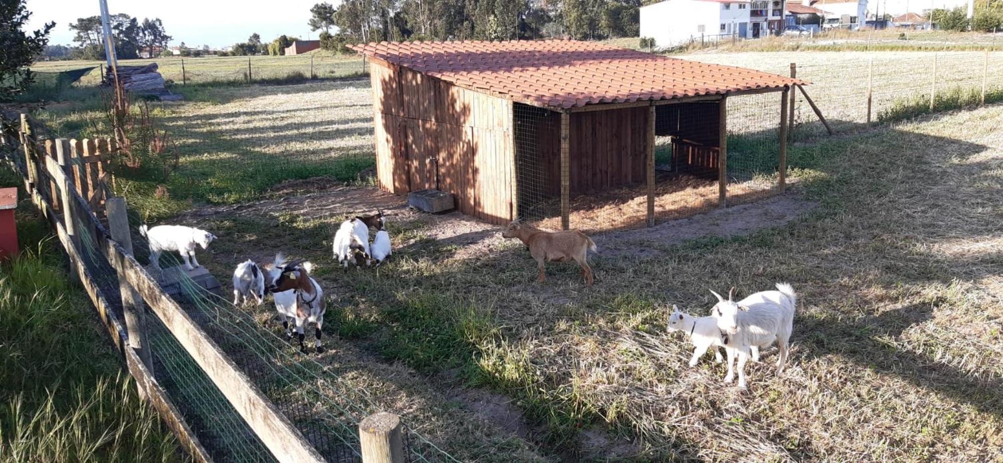 Casa Da Ria - Turismo Rural Ílhavo Extérieur photo